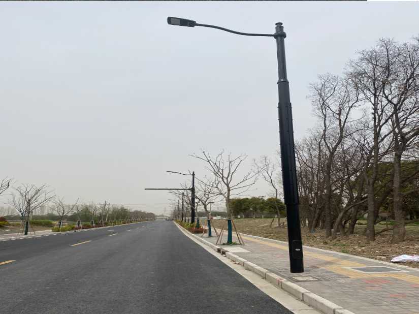 昌邑市上海综合杆 太阳能路灯工程